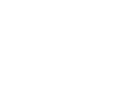 OFFICIAL SELECTION - New York City Independent Film Festival - 2025