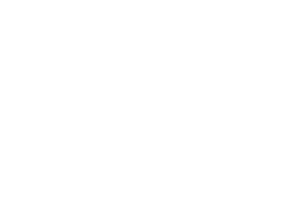 OFFICIAL SELECTION - Zion International Film Festival - 2025